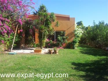 Egypt,Sinai, Sharm El Sheikh, Nabq Bay, Stunning Villa with private swimming pool