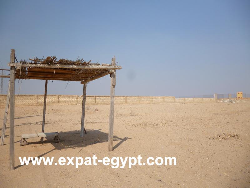 Land for Rent in Belbies, El Sharqia