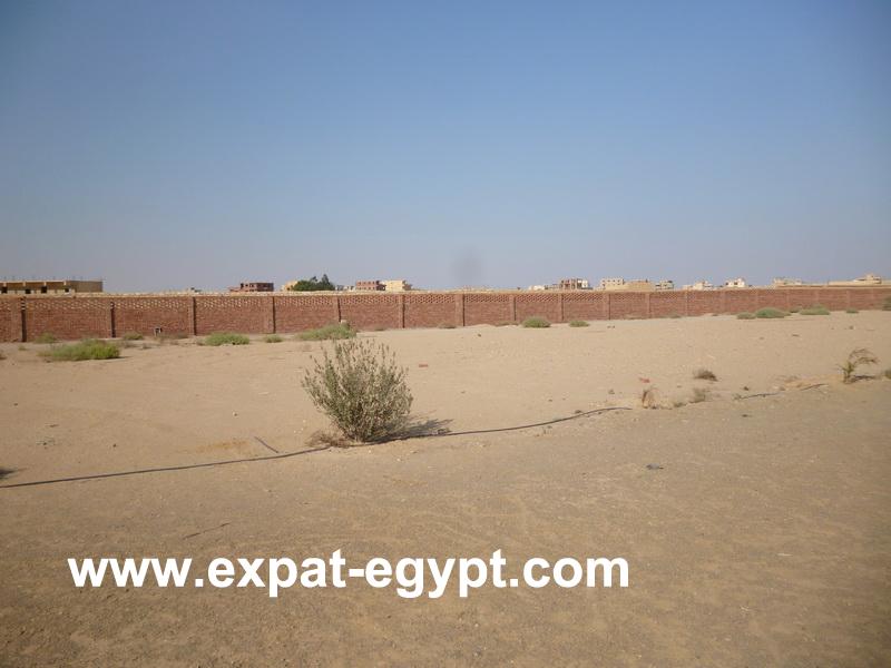 Land for Rent in 10th of Ramadan