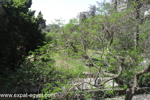 Apartment for Rent in Zamalek with Garden View