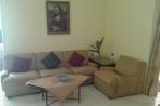 Fully furnished apartment for Rent in El Zamalek.