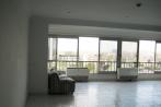 Nile view in zamalek apartment for rent