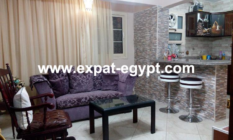 Cozy apartment for rent in Mohandesein , Giza, Egypt