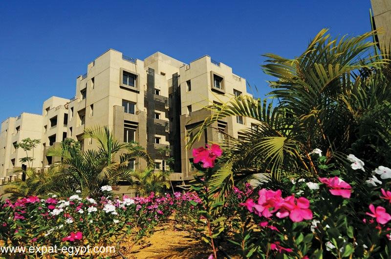 Villas for sale and rent in Palm Hills,New Cairo!