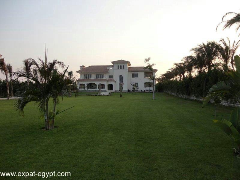 luxury villa for sale in el mansourya el giza egypt