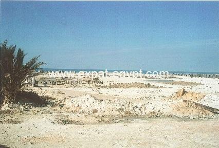 Land for Sale in El Hammam, Alexandria - Matrouh Desert Road
