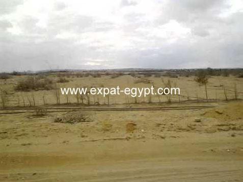 Land for sale located in 6 october city