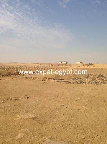 Land for sale in Mansouriah., Cairo Alex Road , Giza