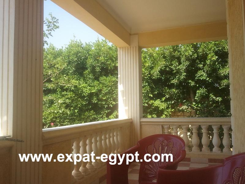 Villa for Sale in King Mariout, Alexandria