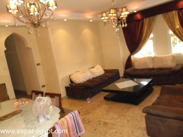 Amazing Apartment for Rent in Zamalek