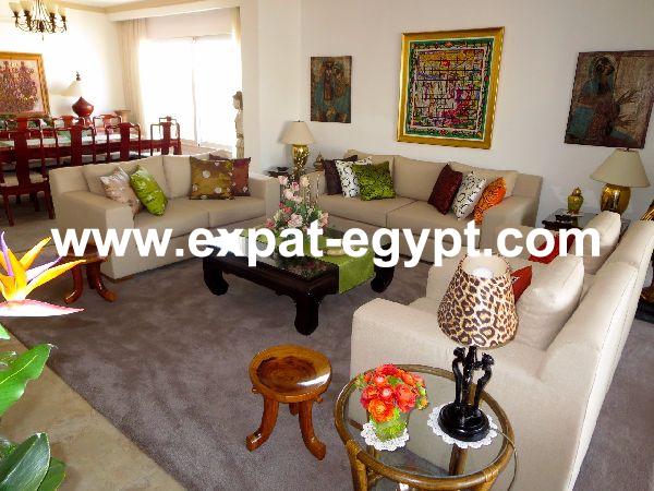 Newly completely renovated penthouse apartment for sale in Dokki, Giza, Egy