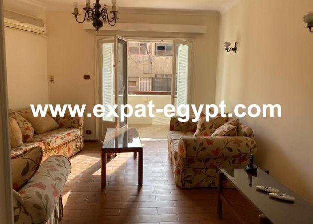 Sunny Duplex for  Rent In Zamalek