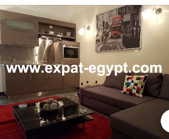 70 m² two bedrooms hotel apartment in zamalek for rent