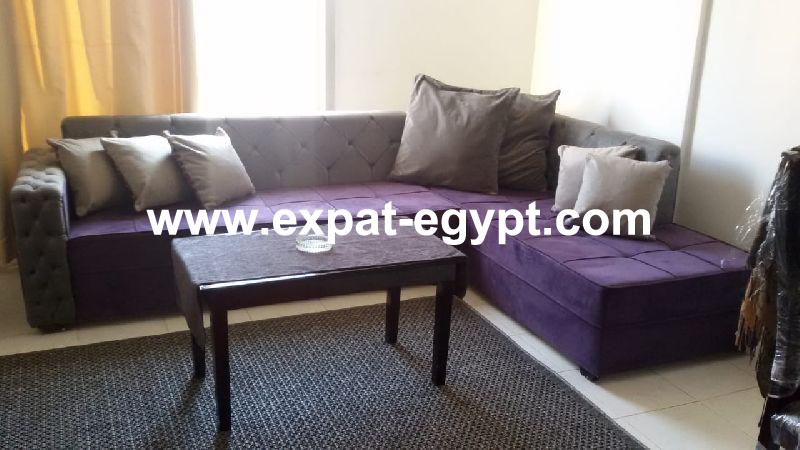 Nice apartment newly furnished in Rehab City, New Cairo, Egypt 
